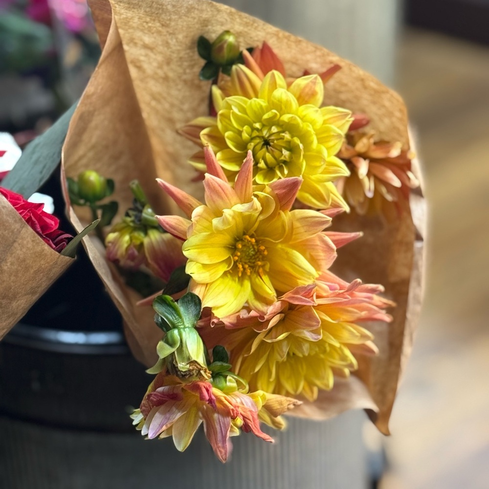 Meet your Posher, Alexandria j.